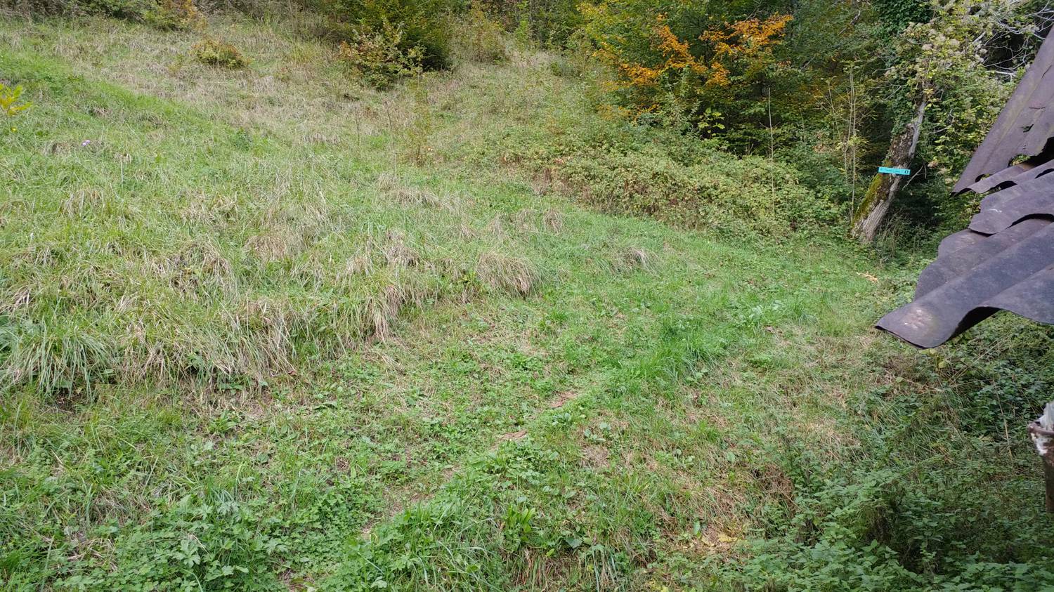 Gabrje - Mrzli vrh slika 7