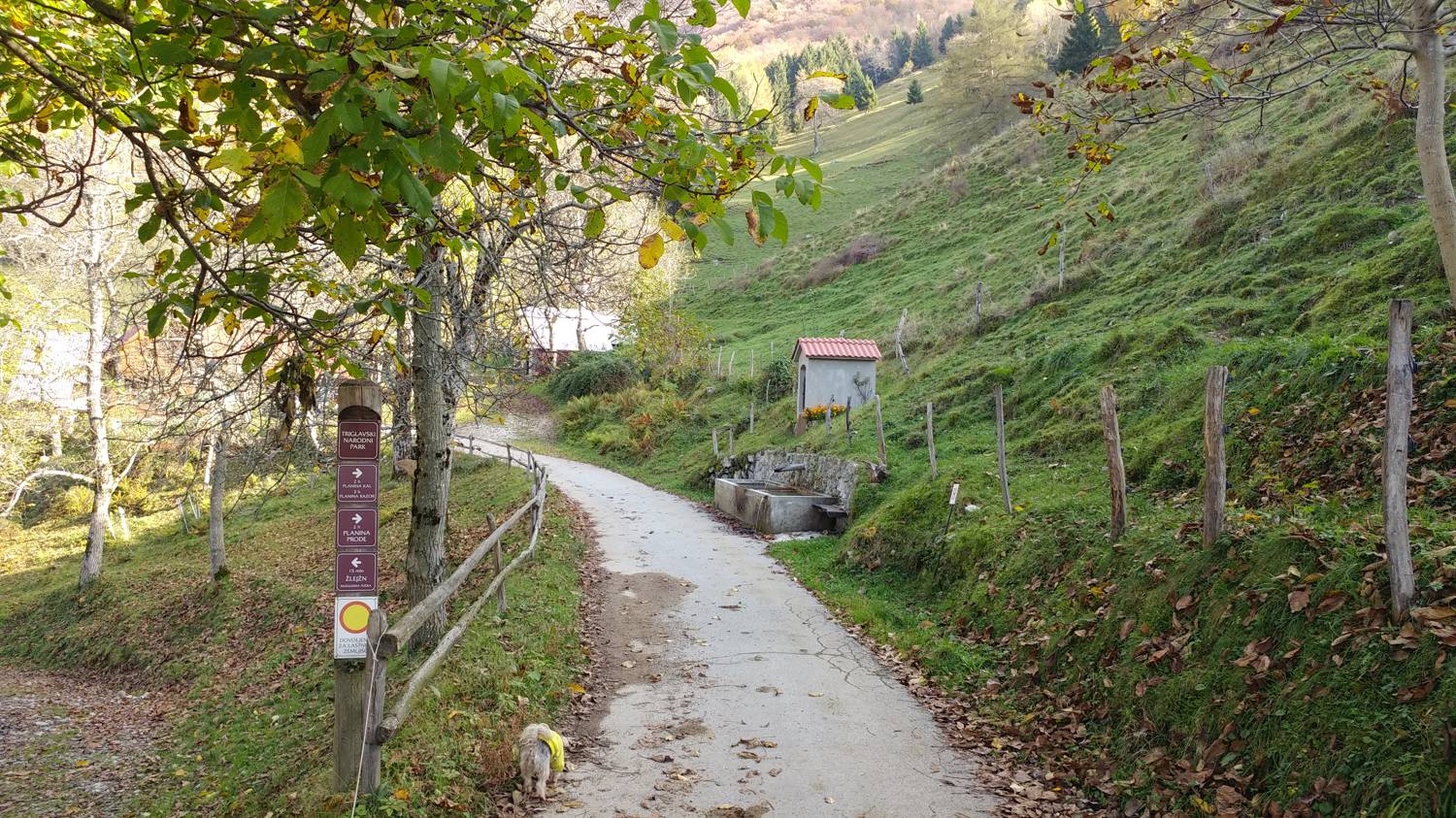 Čadrg - Grušnica (Mohor) slika 4