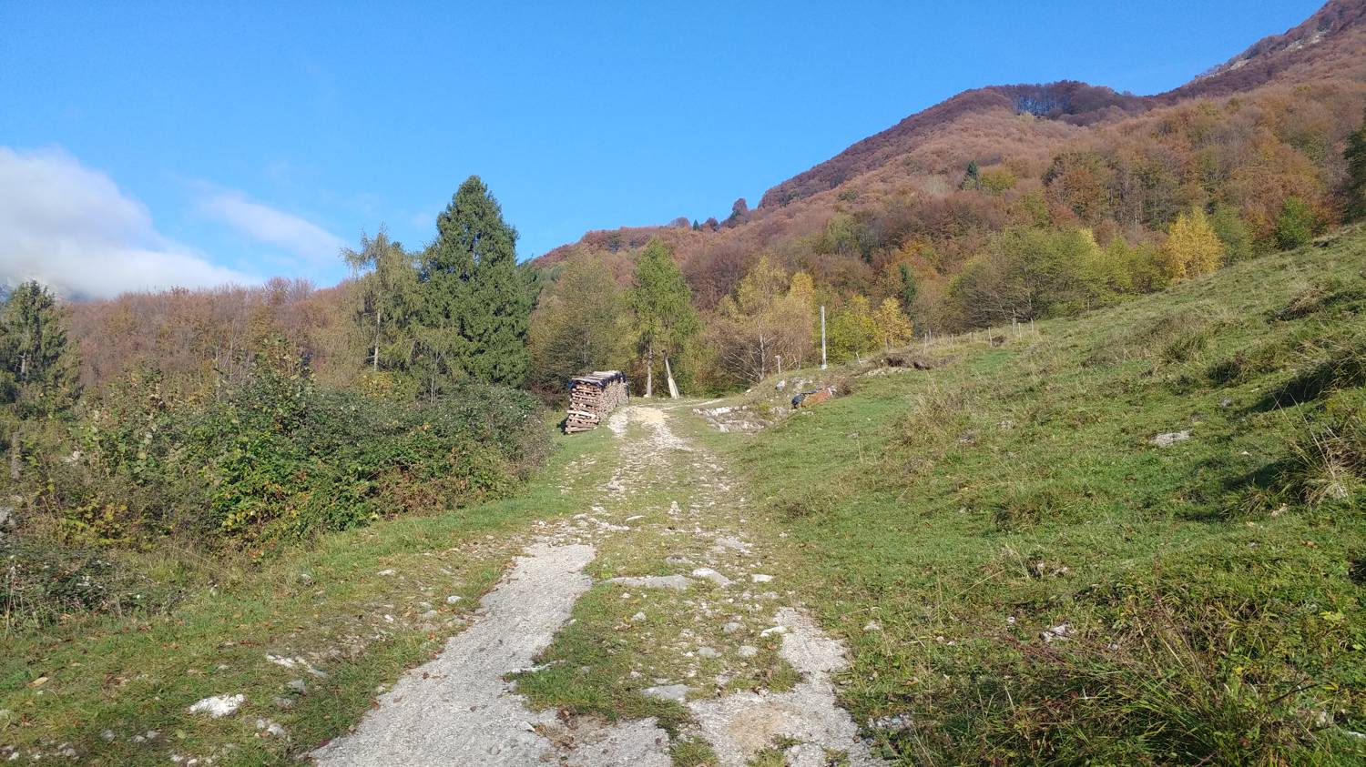 Čadrg - Tolminski Migovec slika 7