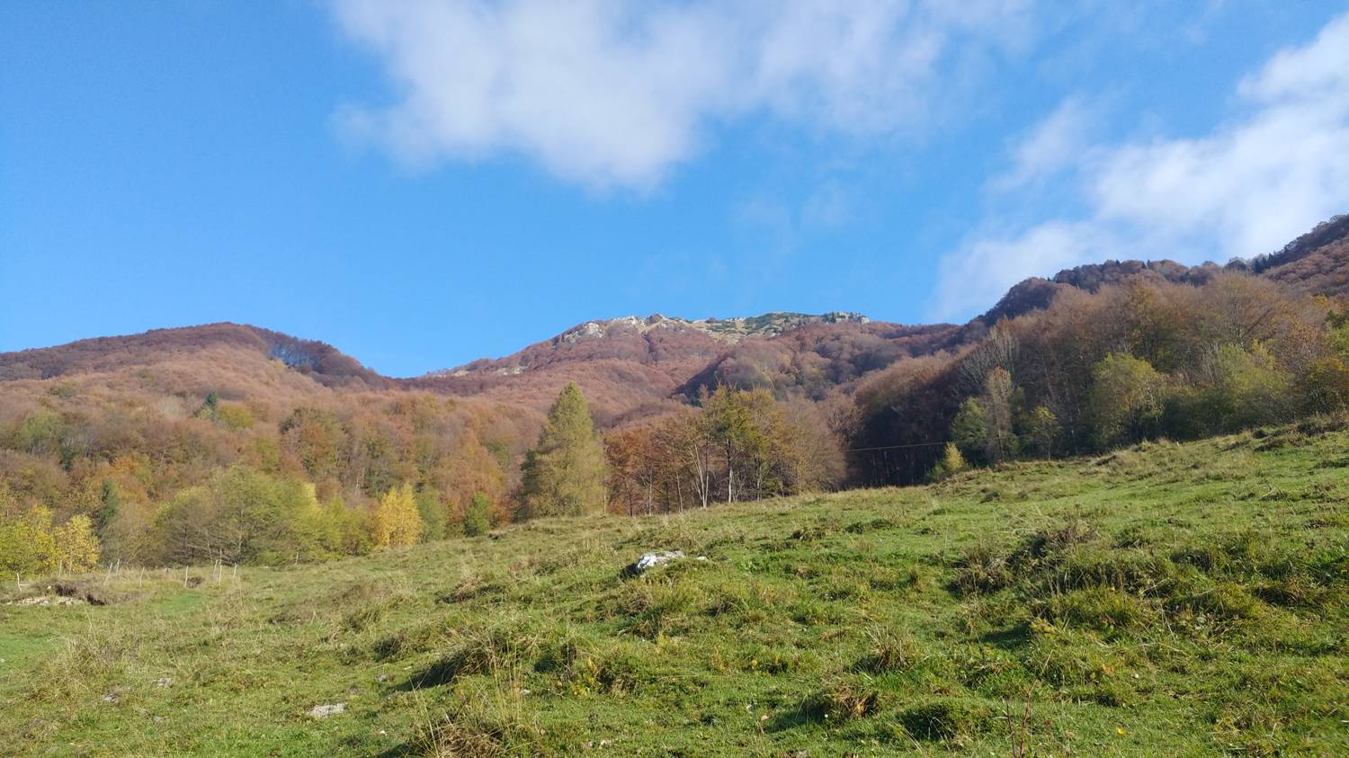 Čadrg - Grušnica (Mohor) slika 8