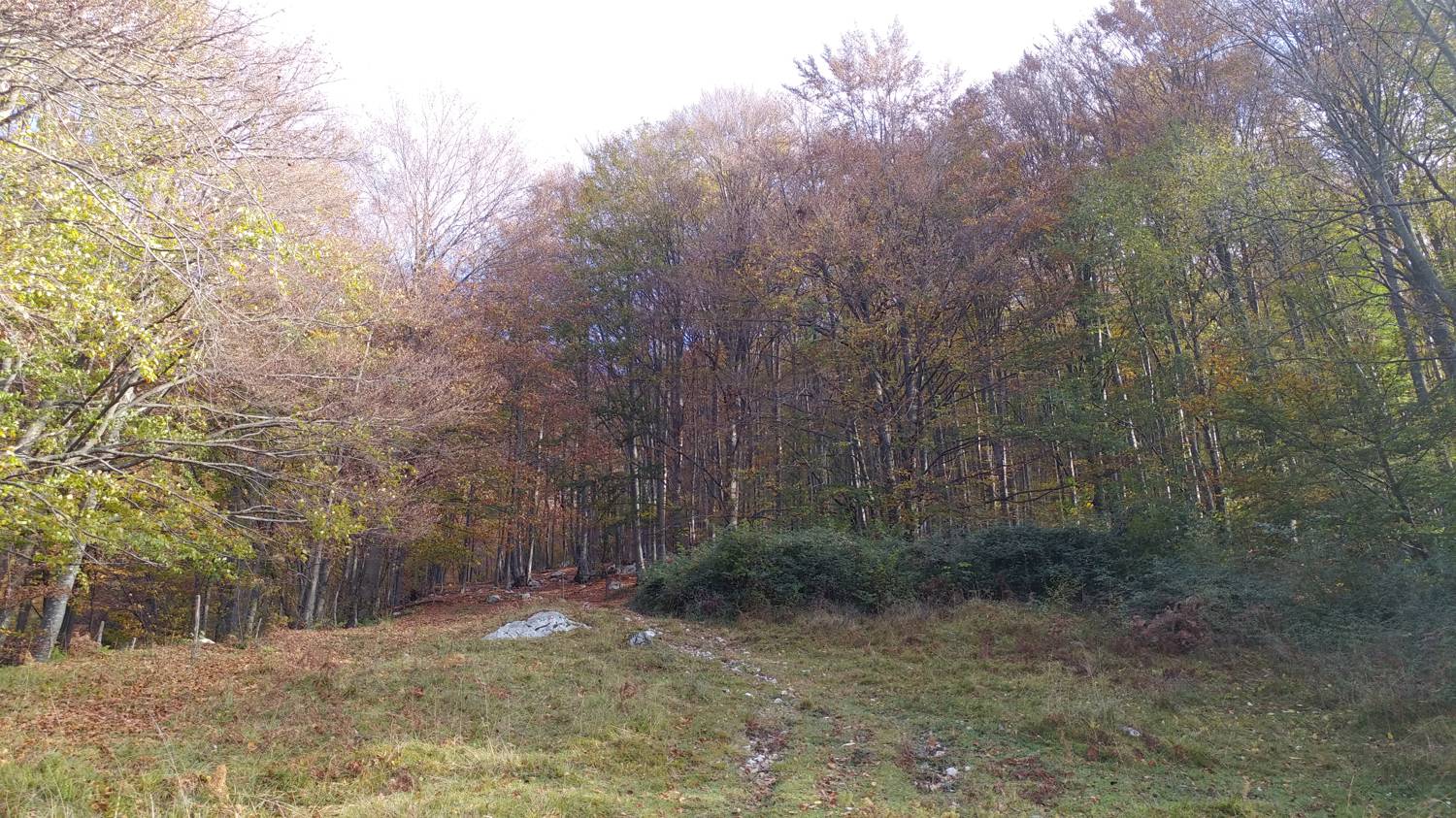 Čadrg - Tolminski Kuk slika 12