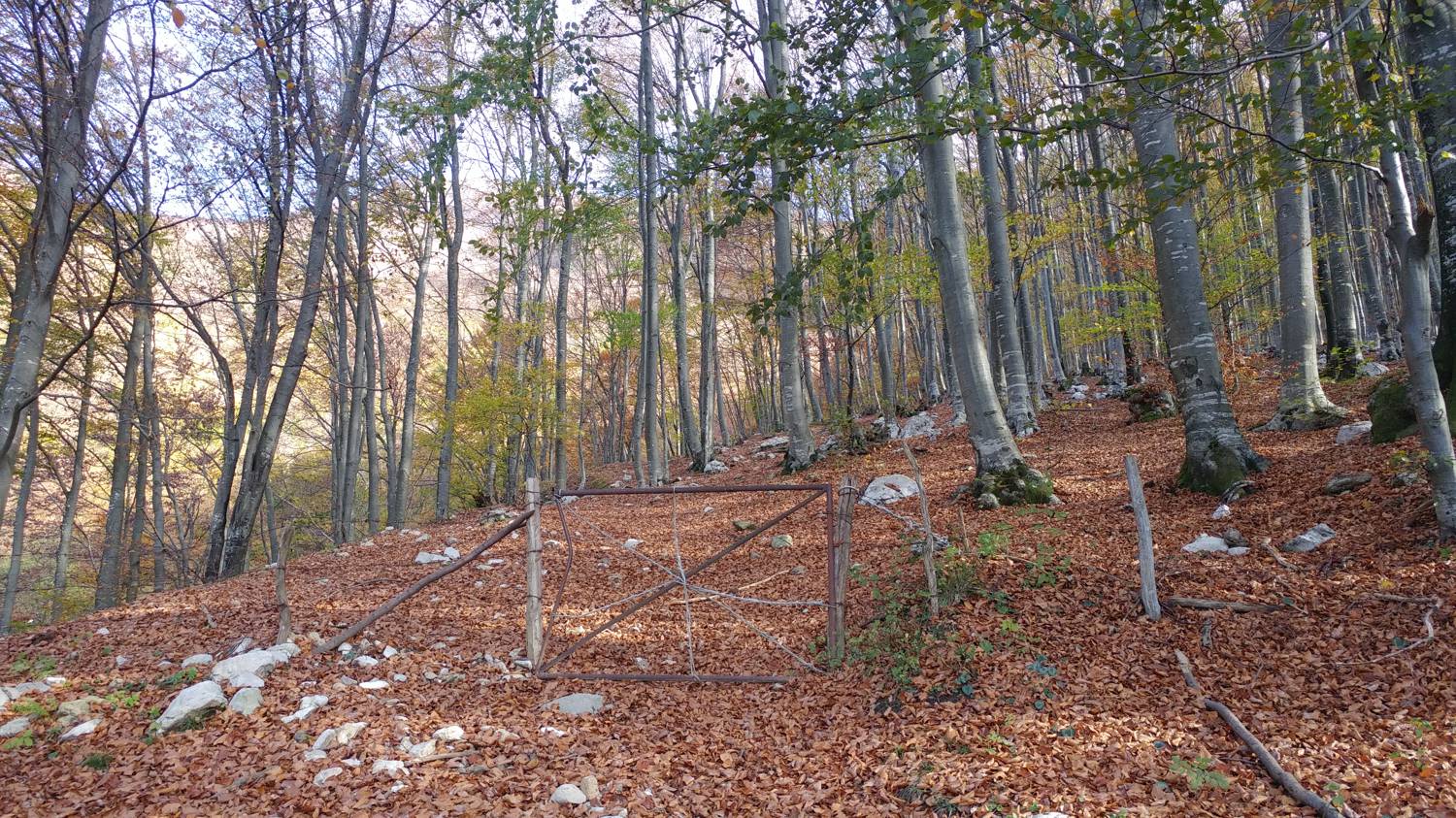 Čadrg - Tolminski Kuk slika 13
