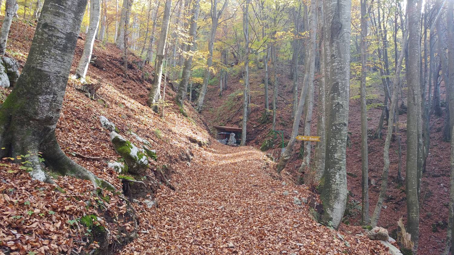Čadrg - Tolminski Kuk slika 13