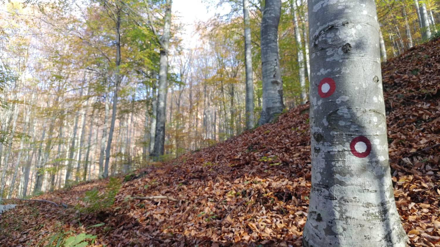 Čadrg - Tolminski Kuk slika 15