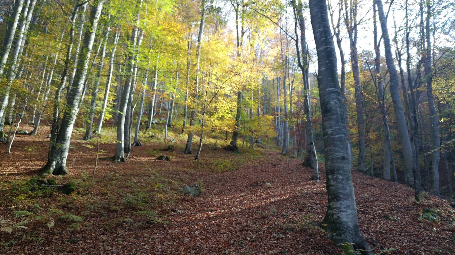 Čadrg - Tolminski Kuk slika 17