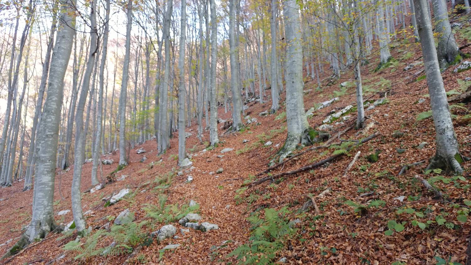 Čadrg - Tolminski Kuk slika 18