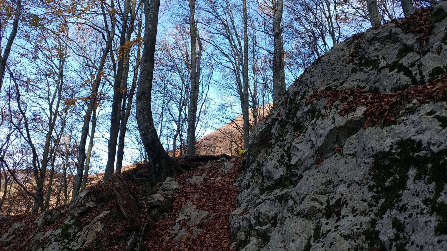 Čadrg - Tolminski Migovec slika 22