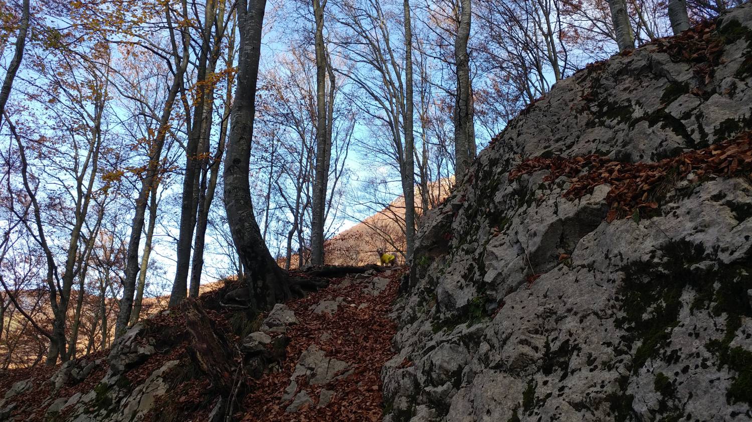Čadrg - Grušnica (Mohor) slika 23