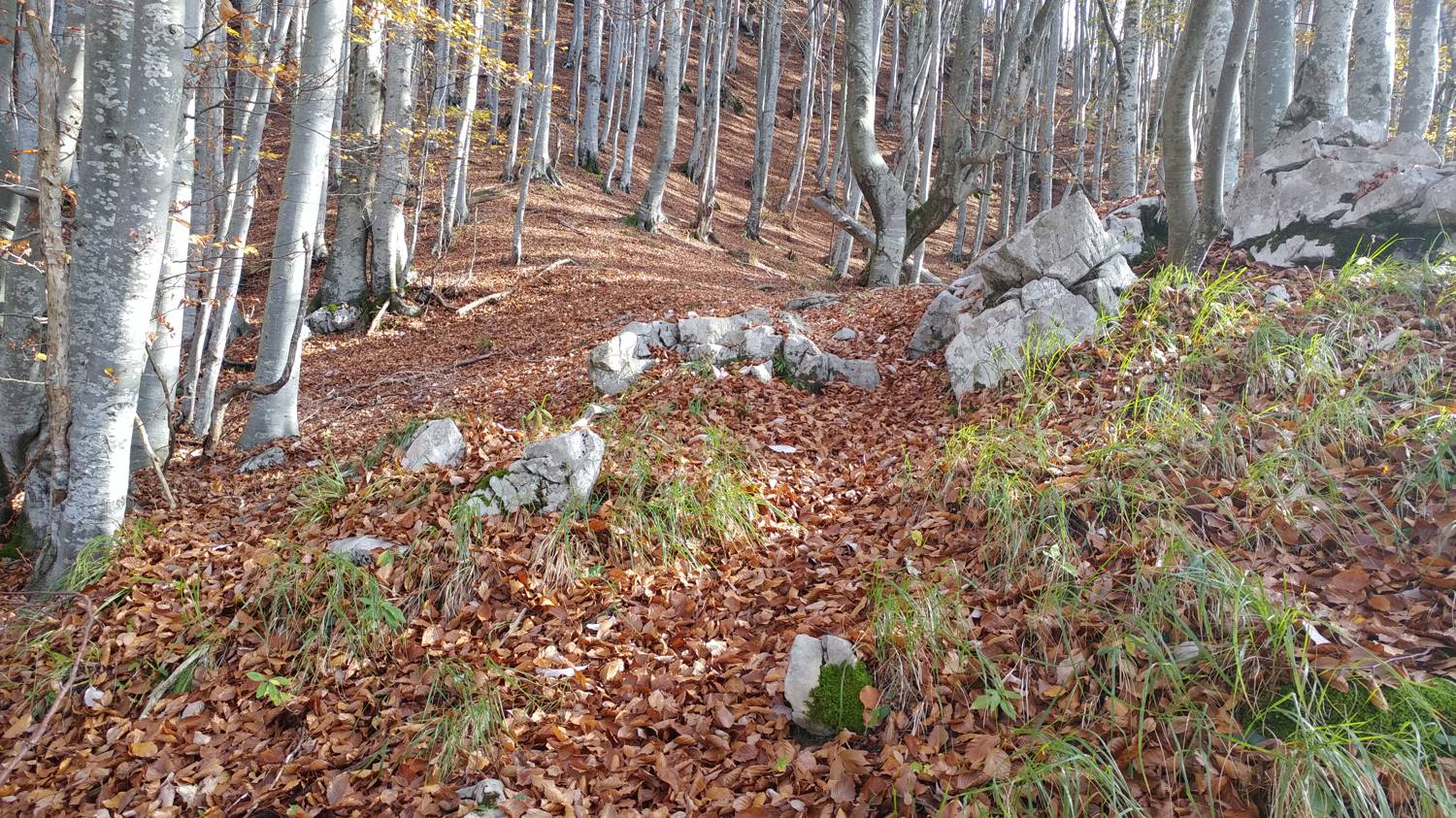 Čadrg - Tolminski Kuk slika 22