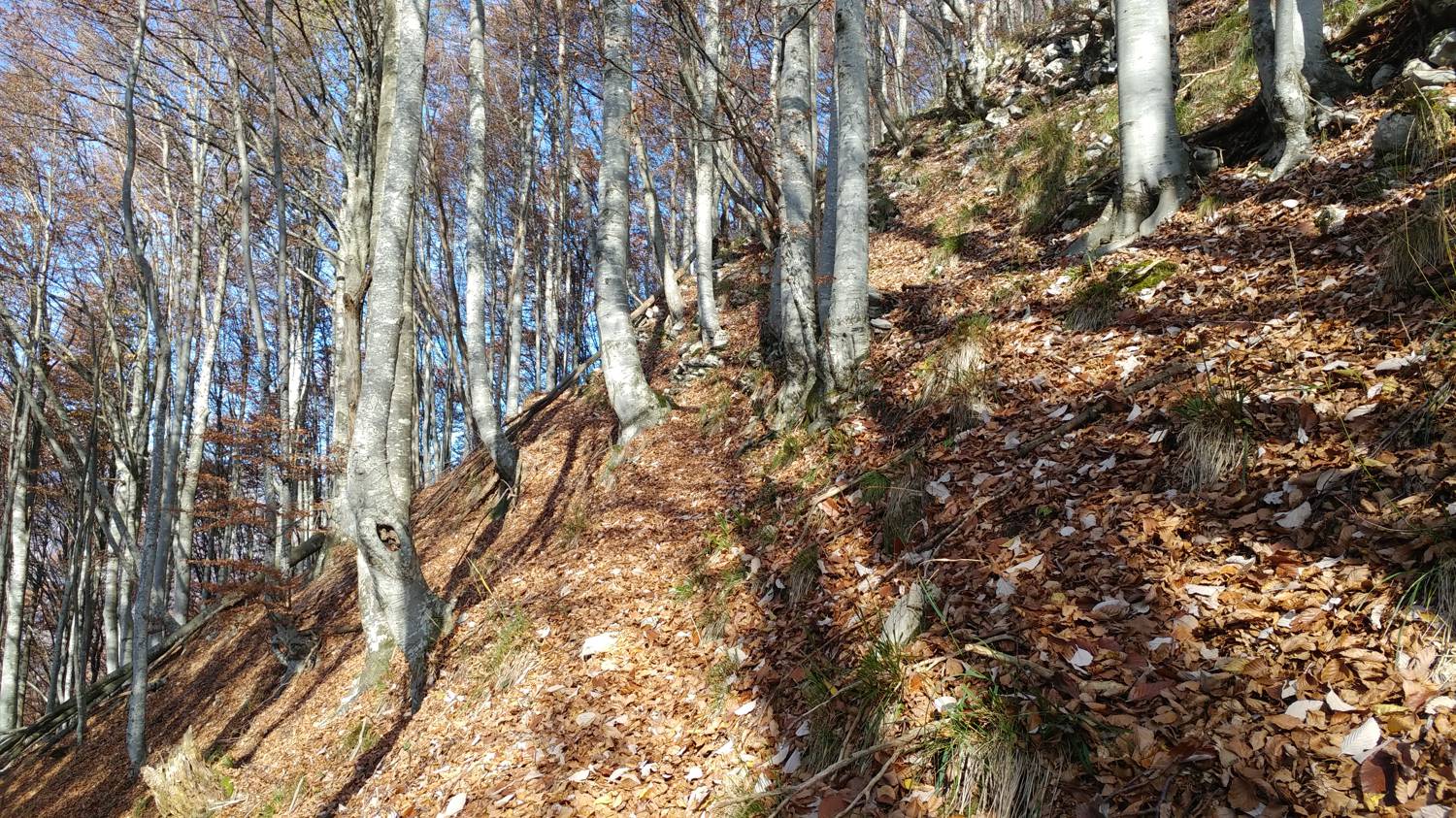 Čadrg - Grušnica (Mohor) slika 28
