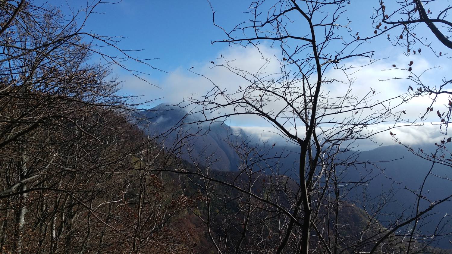 Čadrg - Grušnica (Mohor) slika 30