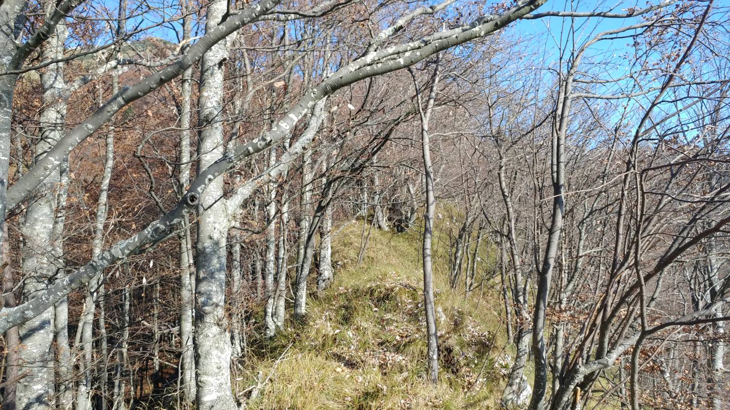 Čadrg - Tolminski Kuk slika 27