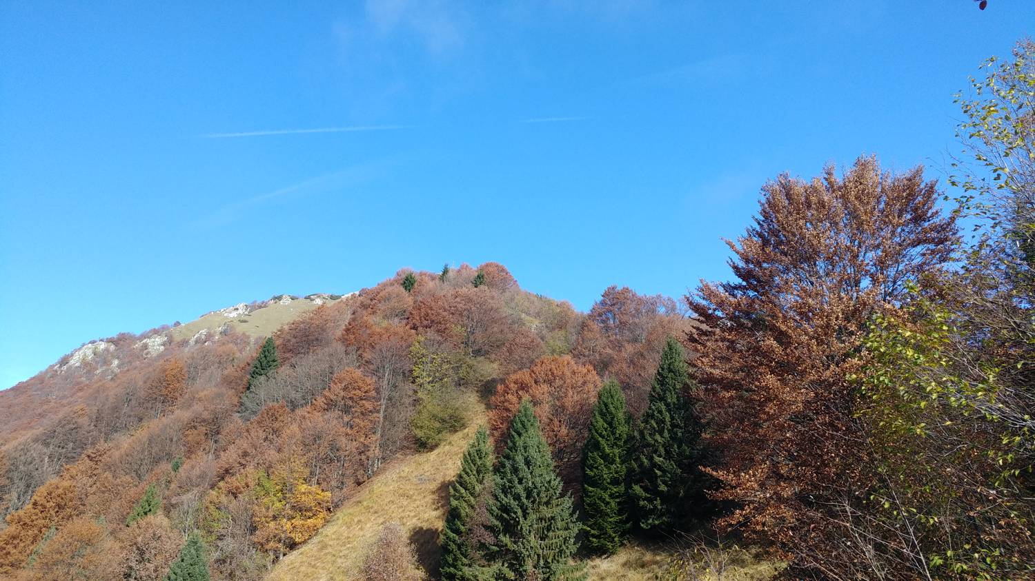 Čadrg - Grušnica (Mohor) slika 32