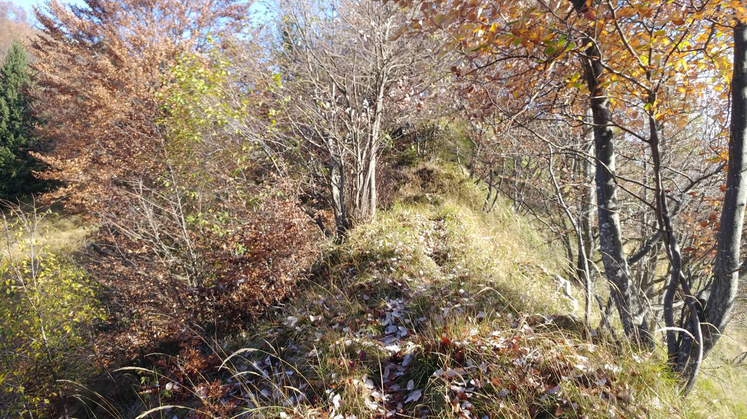 Čadrg - Tolminski Migovec slika 32
