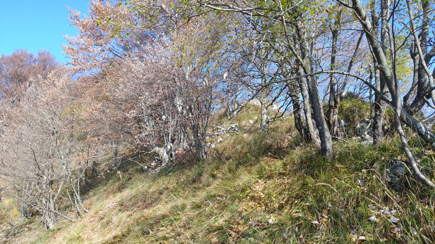 Čadrg - Tolminski Migovec slika 33