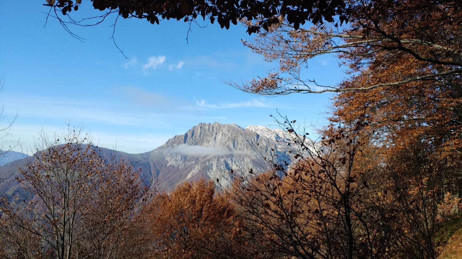 Čadrg - Grušnica (Mohor) slika 37