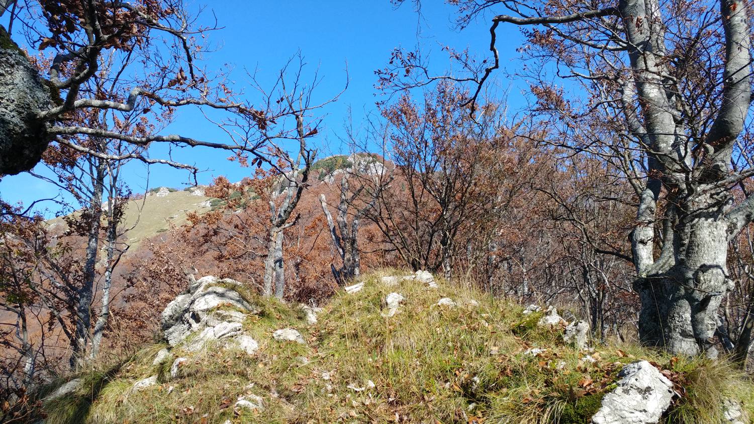 Čadrg - Tolminski Migovec slika 36