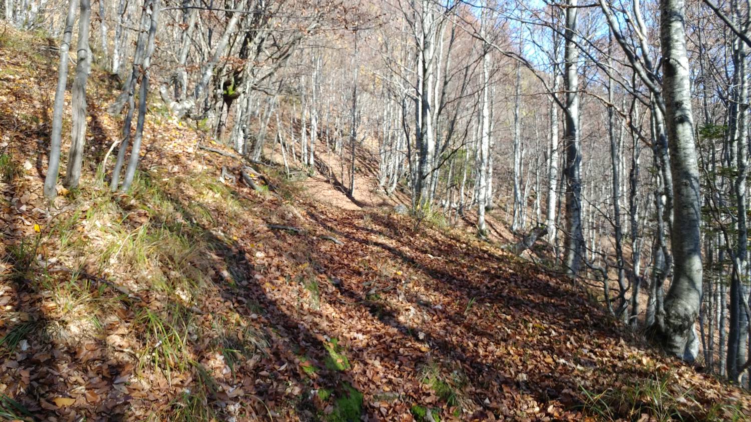 Čadrg - Tolminski Migovec slika 39