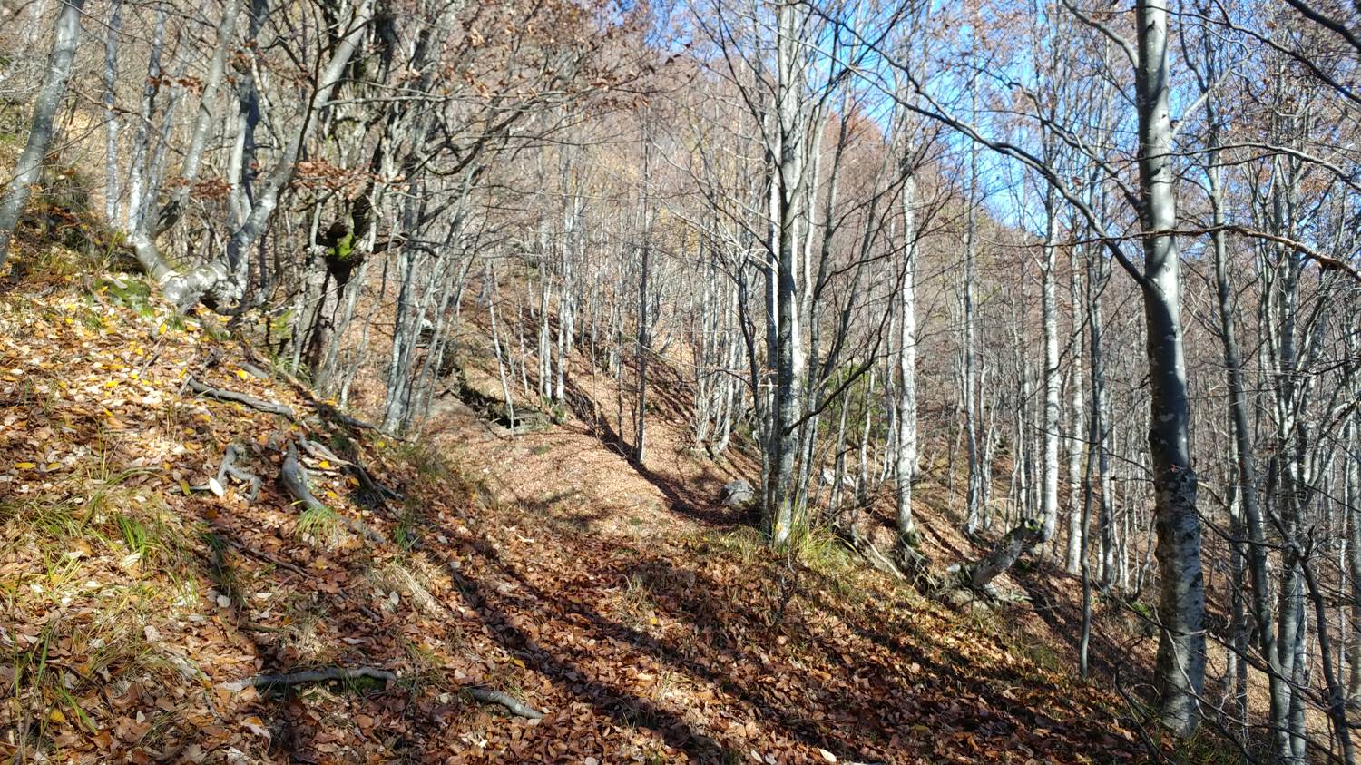 Čadrg - Tolminski Migovec slika 40