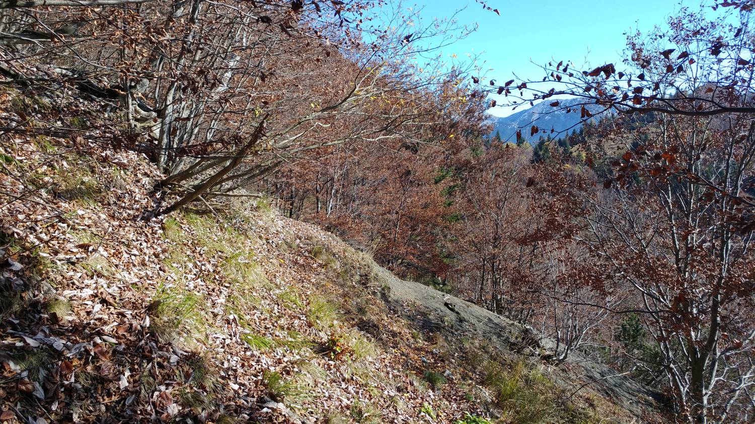 Čadrg - Tolminski Kuk slika 37