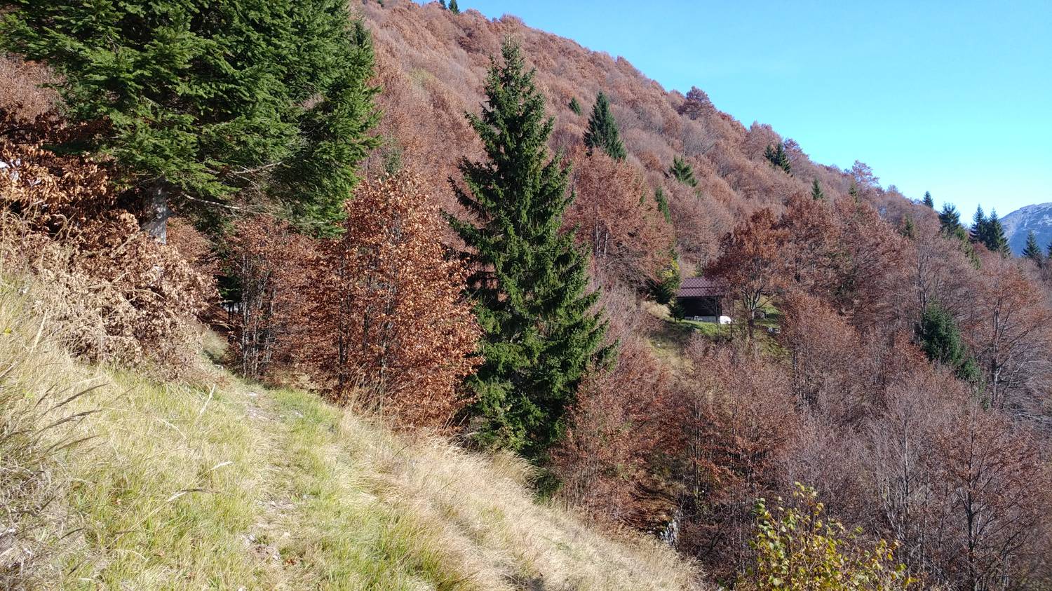 Čadrg - Grušnica (Mohor) slika 44