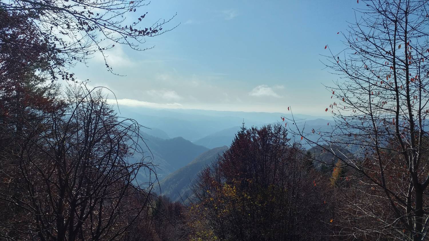 Čadrg - Grušnica (Mohor) slika 45