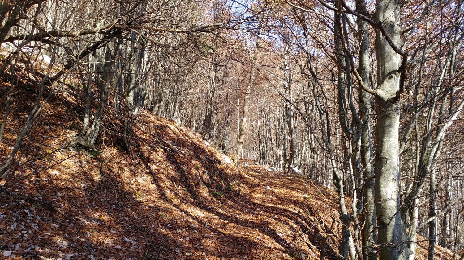 Čadrg - Tolminski Migovec slika 48