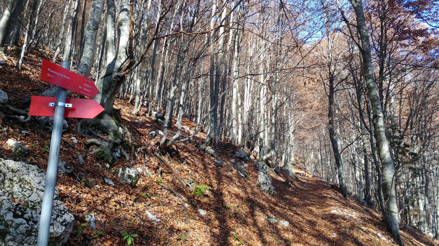 Čadrg - Tolminski Kuk slika 46