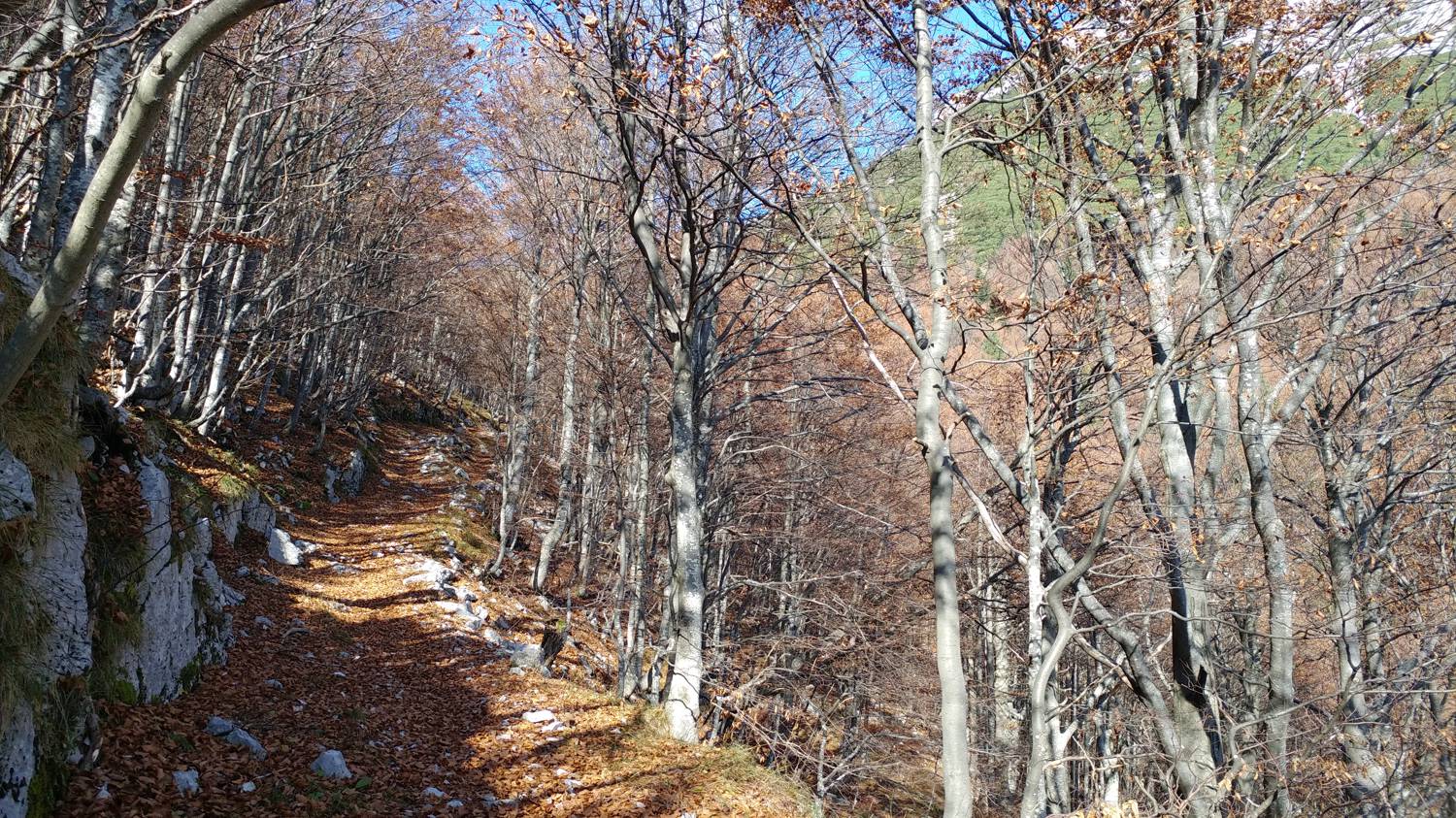 Čadrg - Tolminski Migovec slika 50