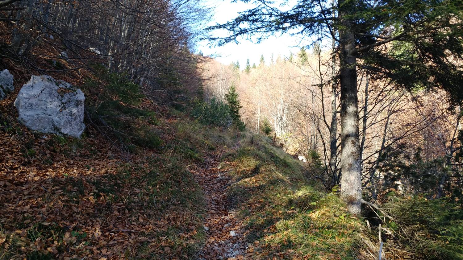 Čadrg - Grušnica (Mohor) slika 54