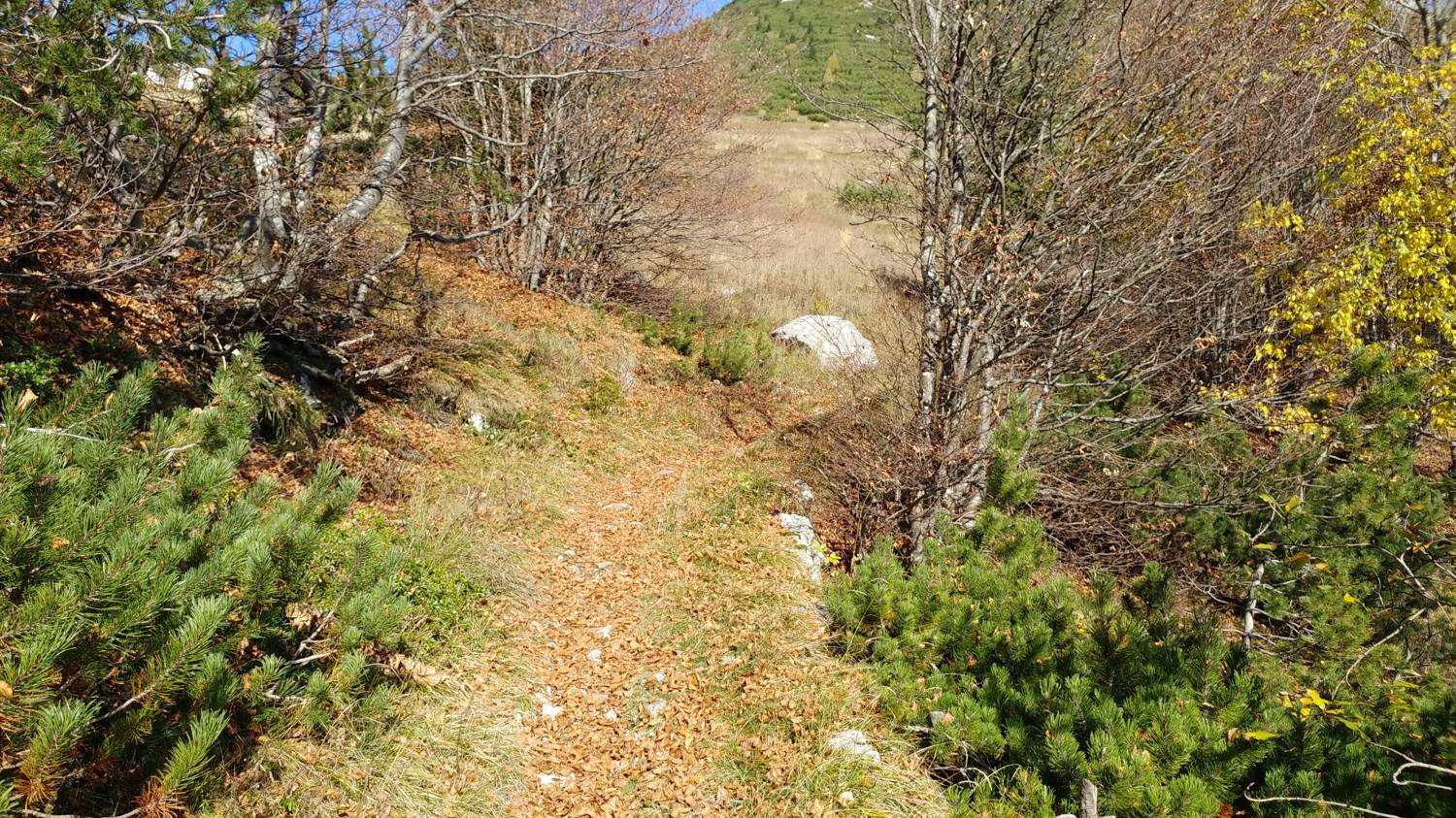 Čadrg - Grušnica (Mohor) slika 56