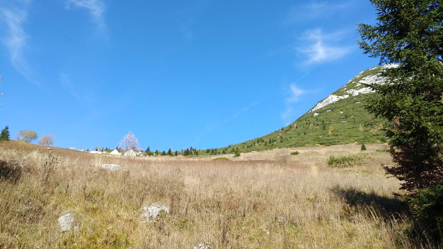 Čadrg - Tolminski Migovec slika 54