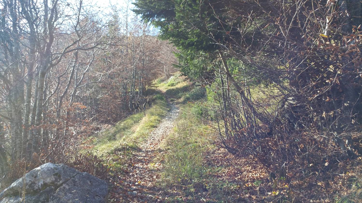 Čadrg - Grušnica (Mohor) slika 58