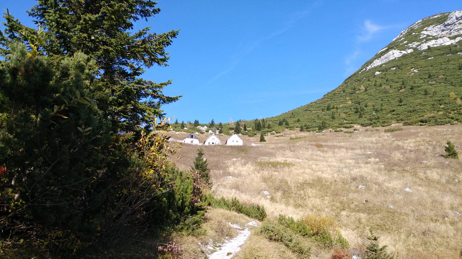 Čadrg - Grušnica (Mohor) slika 59