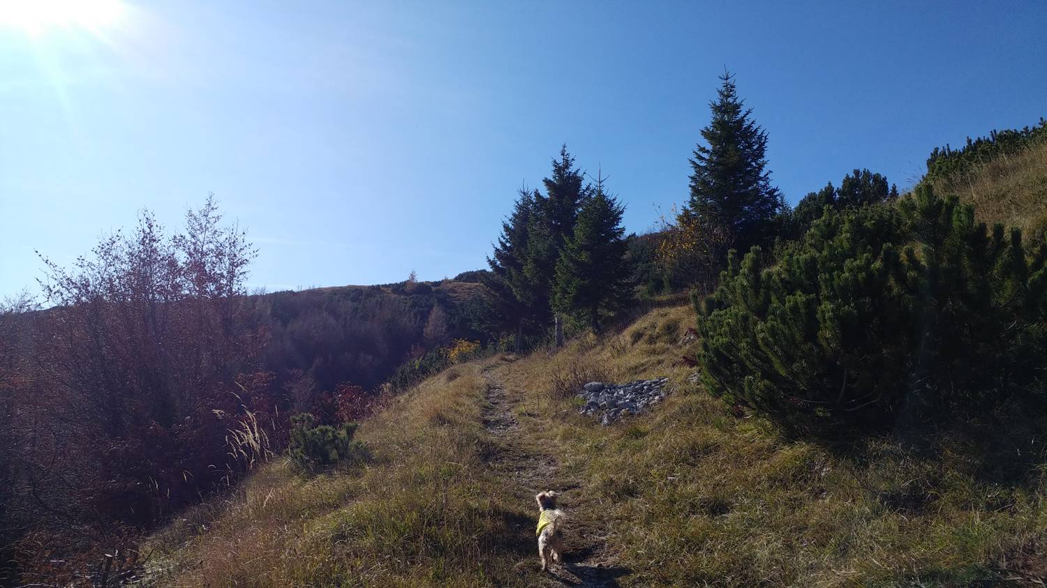 Čadrg - Grušnica (Mohor) slika 60