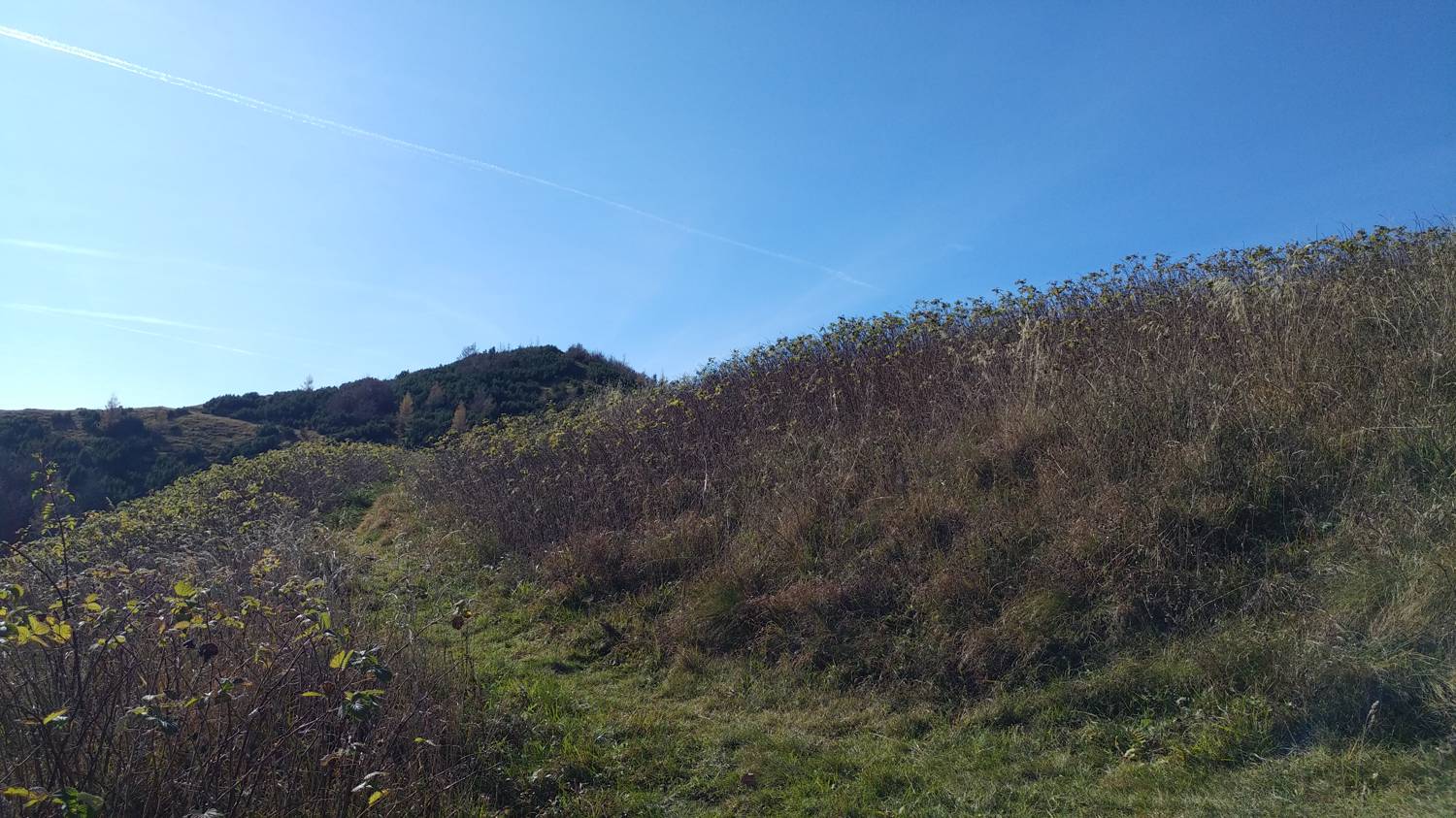 Čadrg - Grušnica (Mohor) slika 61