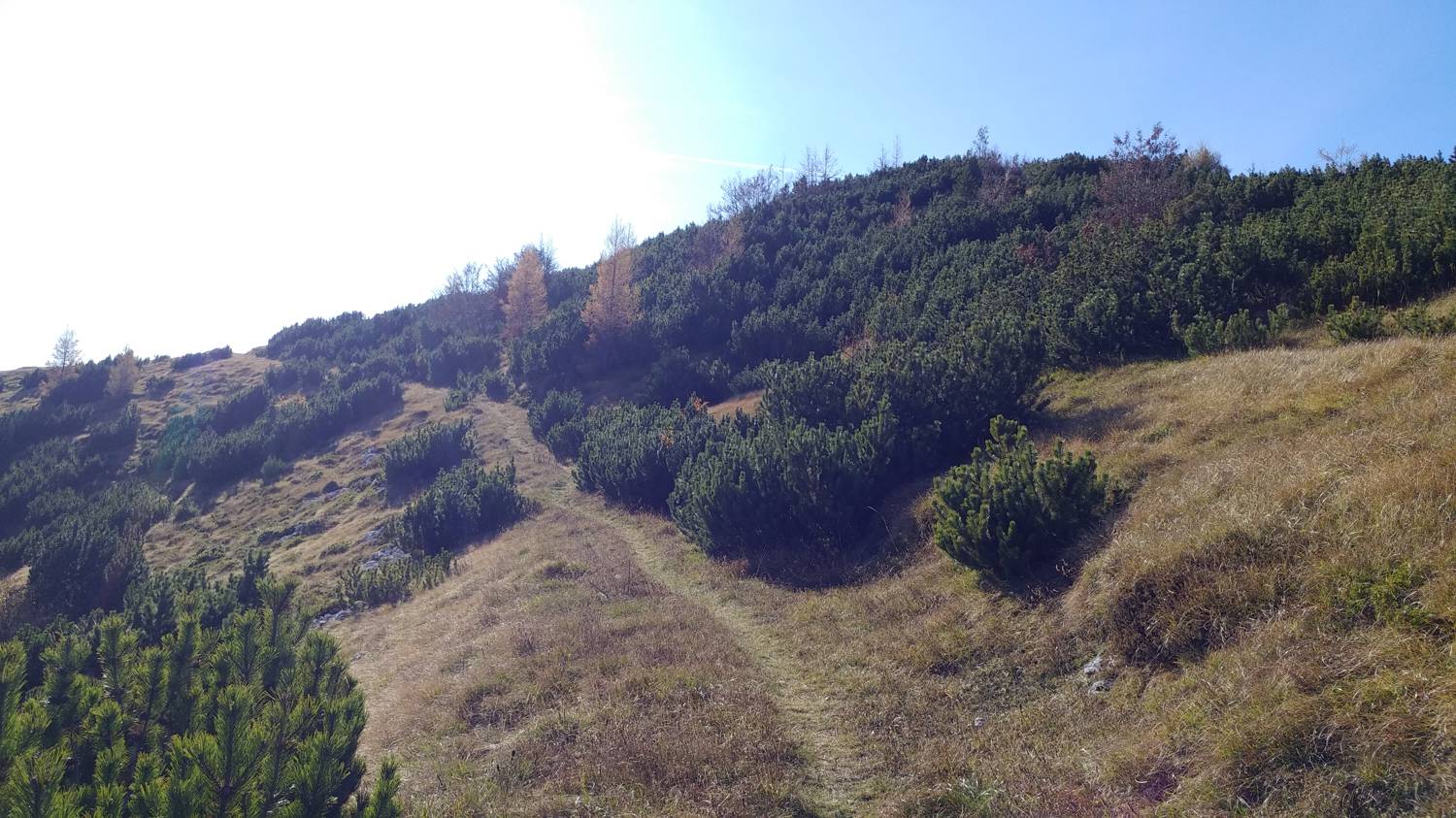 Čadrg - Grušnica (Mohor) slika 63