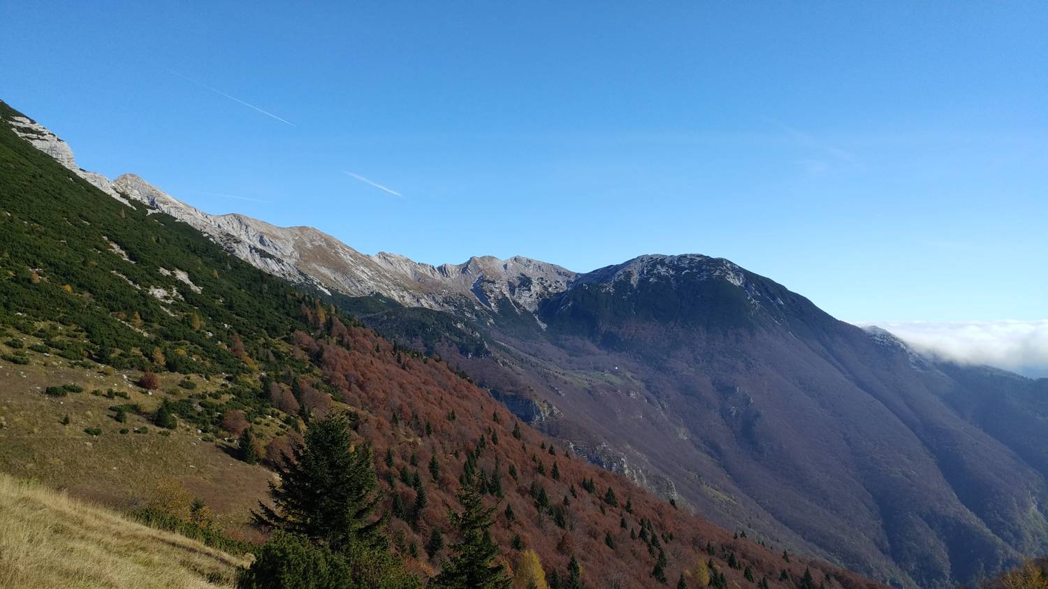 Čadrg - Grušnica (Mohor) slika 64