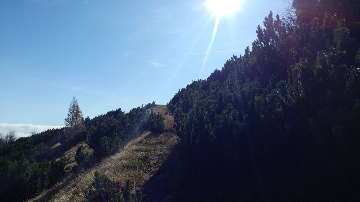 Čadrg - Grušnica (Mohor) slika 65