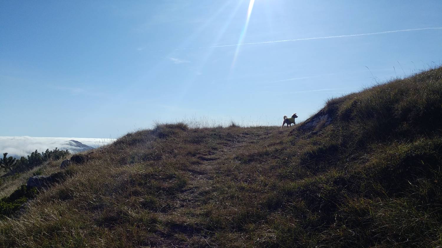 Čadrg - Grušnica (Mohor) slika 67