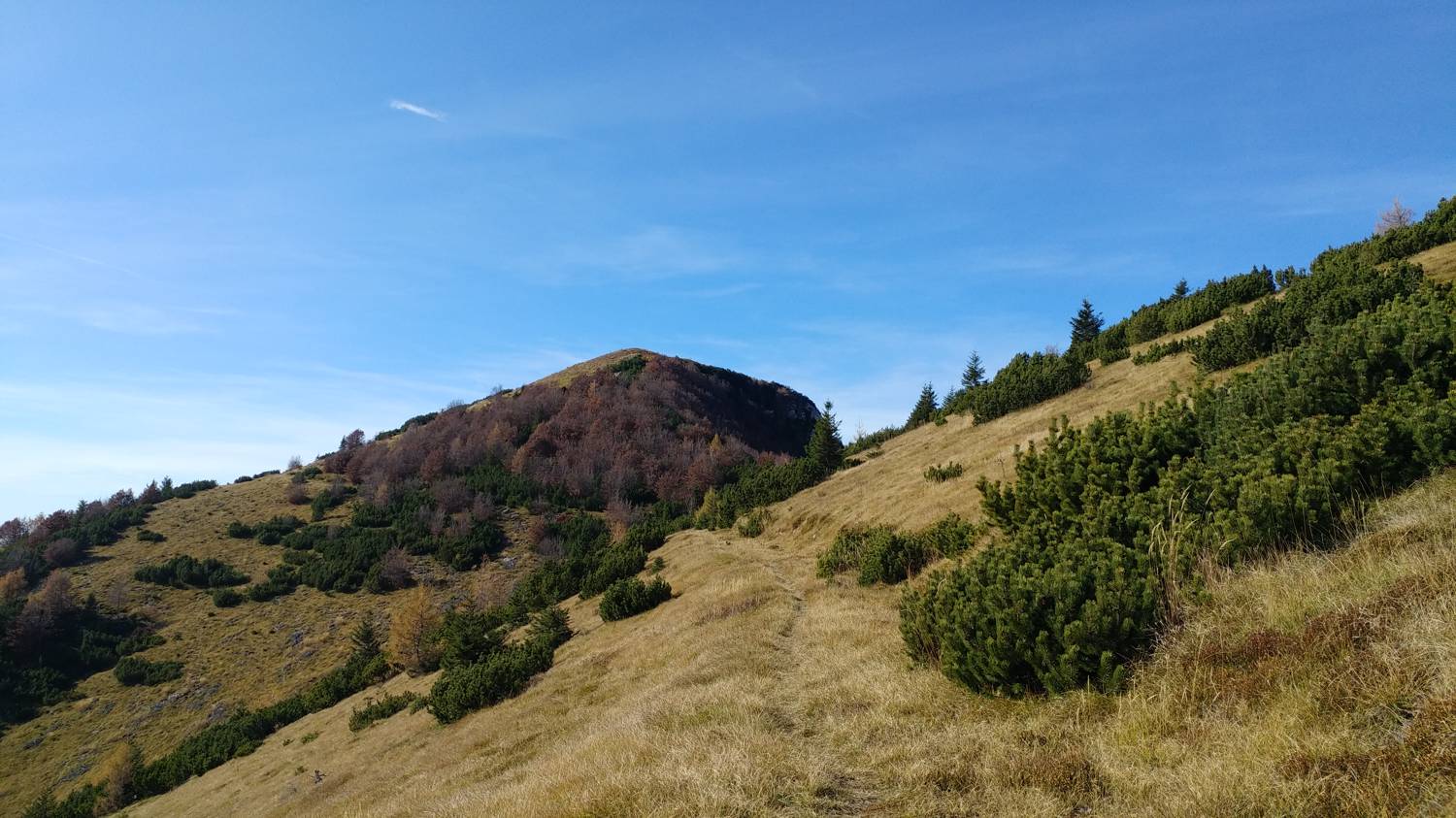Čadrg - Grušnica (Mohor) slika 69