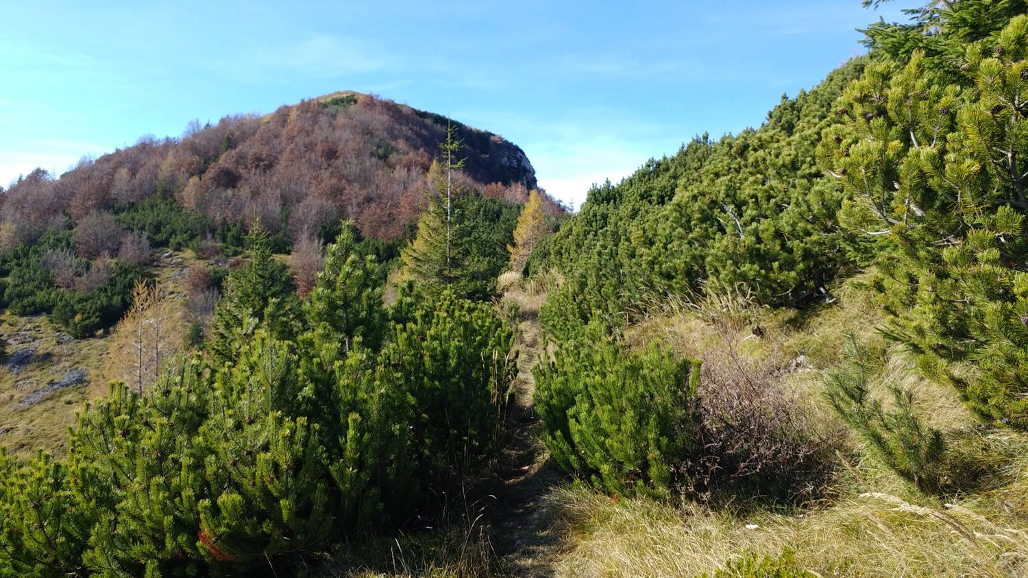 Čadrg - Grušnica (Mohor) slika 70