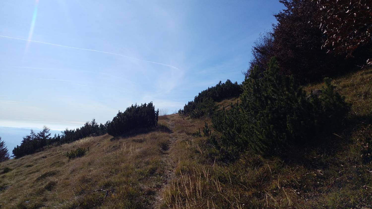 Čadrg - Grušnica (Mohor) slika 71