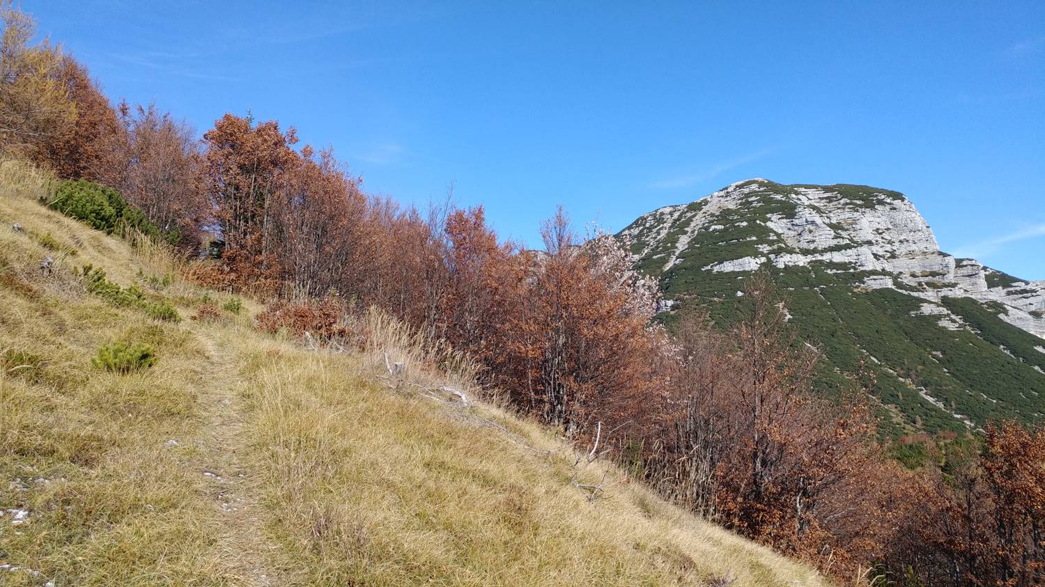 Čadrg - Grušnica (Mohor) slika 72