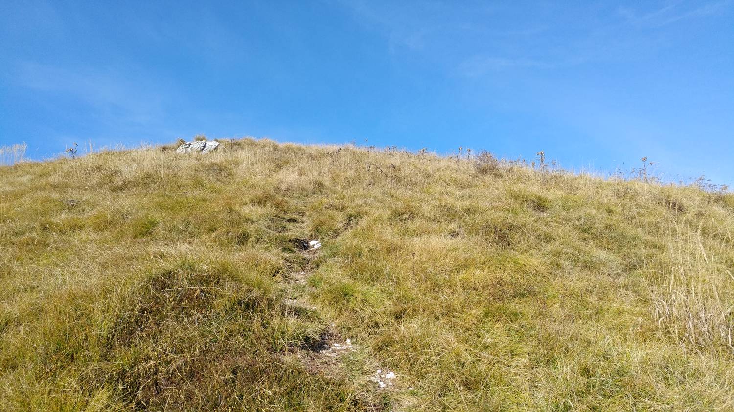 Čadrg - Grušnica (Mohor) slika 73