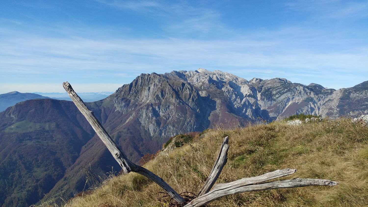 Čadrg - Grušnica (Mohor) slika 76