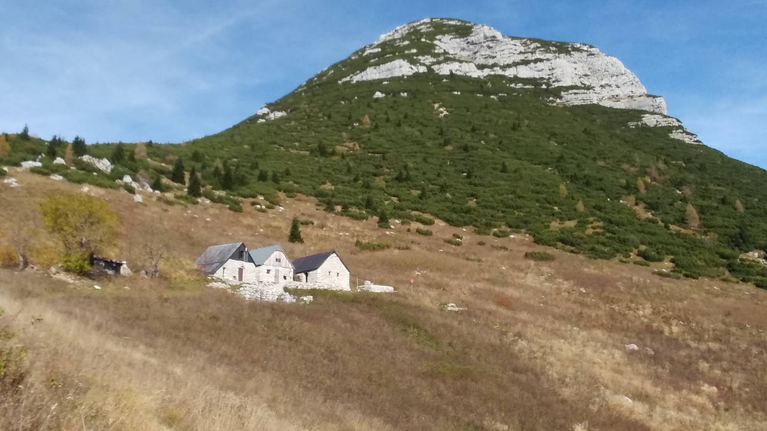 Čadrg - Tolminski Migovec slika 57