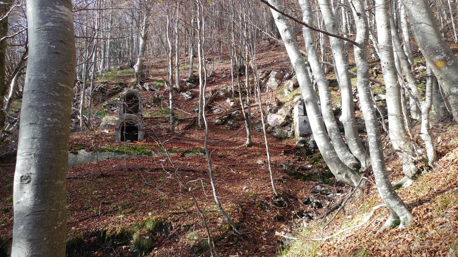 Čadrg - Grušnica (Mohor) slika 36