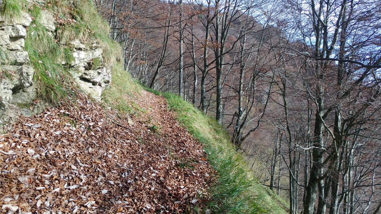 Čadrg - Grušnica (Mohor) slika 34