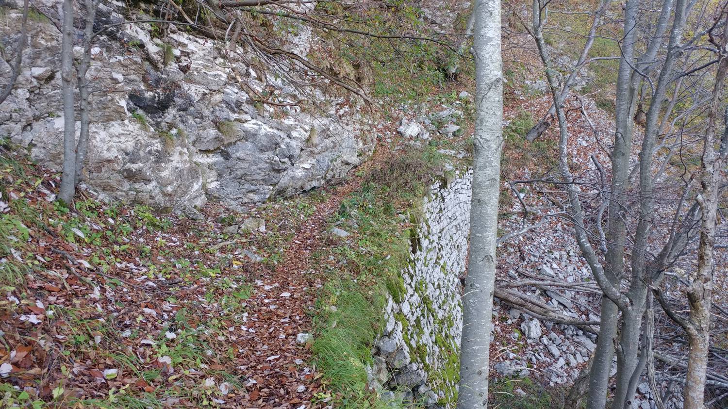 Čadrg - Grušnica (Mohor) slika 31